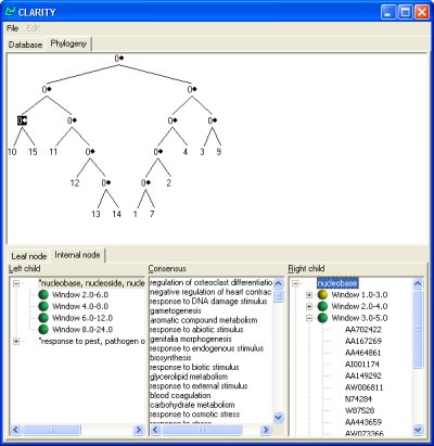 Screenshot of the phylogeny interface
